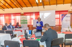 NITA Unveils Online Skills Upgrading Training Approval System to Enhance Efficiency and Transparency